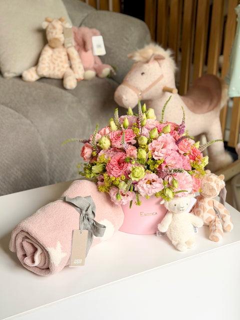 Celebrate Every New Arrival