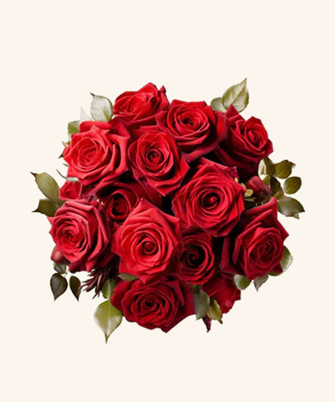 Love & Romance