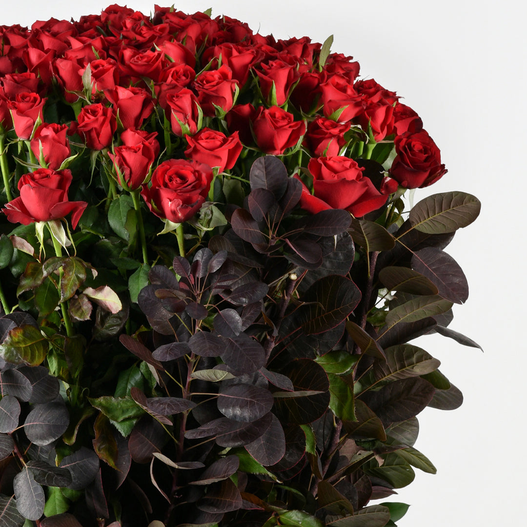 Exotica / Flowers / Magic Roses