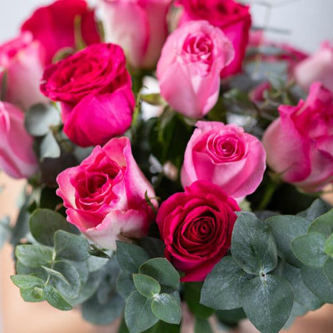 Pink Perfection