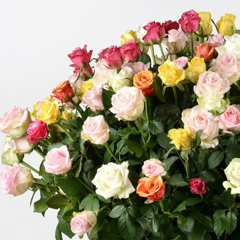 Soft Floral