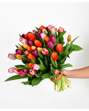 50 Mixed Tulip Bouquet