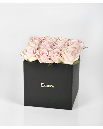 pink-roses-in-box