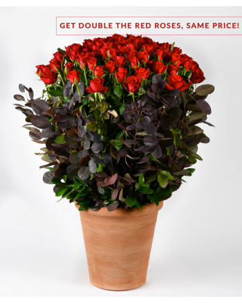 red-roses-arrangement