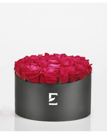 42-Fuchsia-Roses
