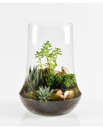 Succulent-Terrarium