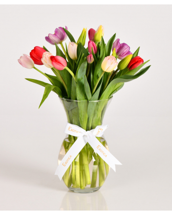 24-Tulip-Bouquet