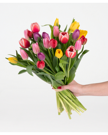 Mixed-Tulip-Bouquet