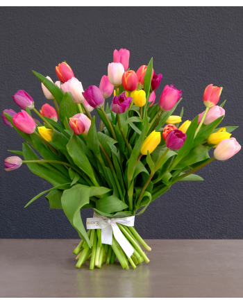 50-mixed-tulips
